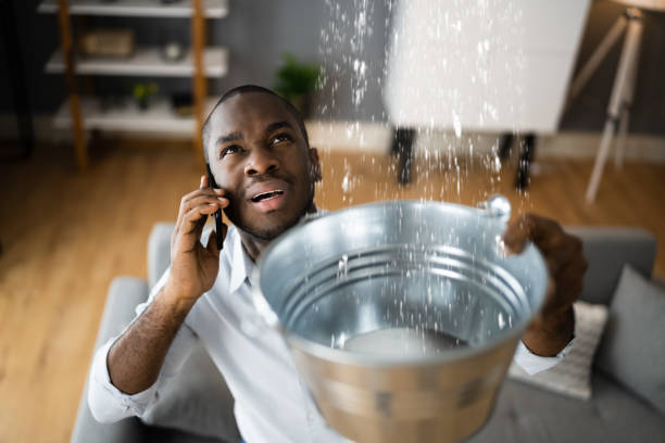 Best Water damage cleanup near me  in Brookhaven, GA