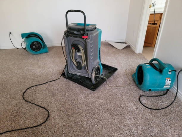Best Mold removal after water damage  in Brookhaven, GA