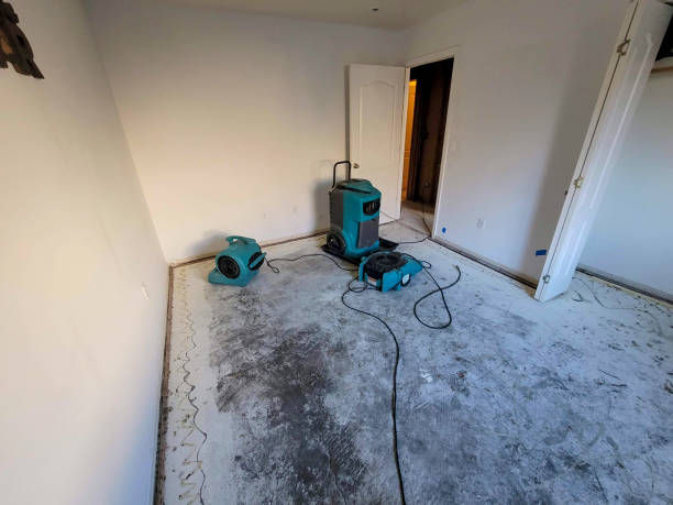 Best Flooded house restoration  in Brookhaven, GA