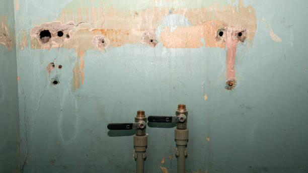 Best Fire Damage Restoration  in Brookhaven, GA