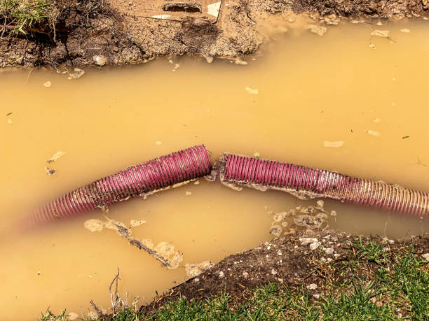 Best Emergency water damage restoration  in Brookhaven, GA