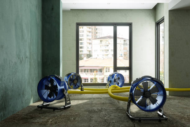 Best Carpet water damage restoration  in Brookhaven, GA